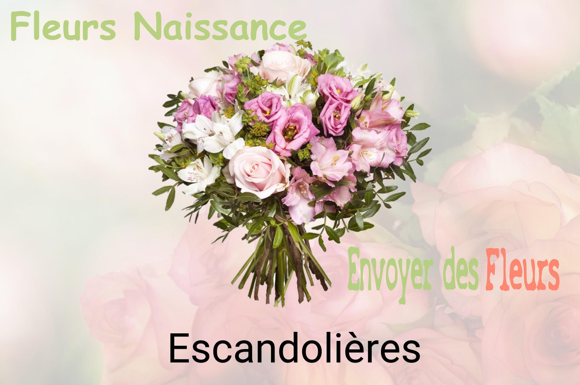 Bouquet de fleurs de naissance livré à Escandolières